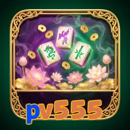 pv555
